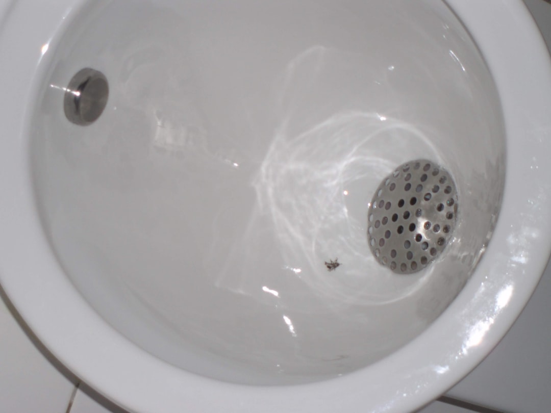 クリスタルエコ トイレブラシセット